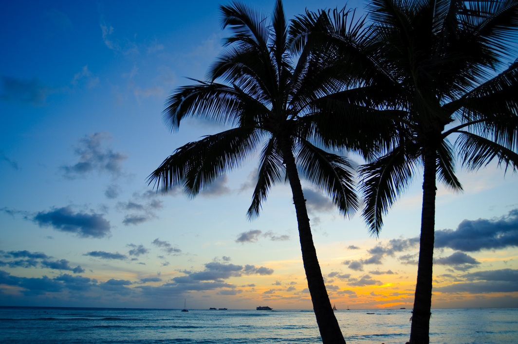 [여행한그릇] 하와이 호놀룰루 버스 투어 (무료 사진 촬영)