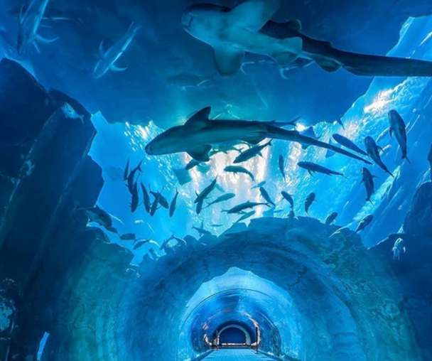 activity_detail_image