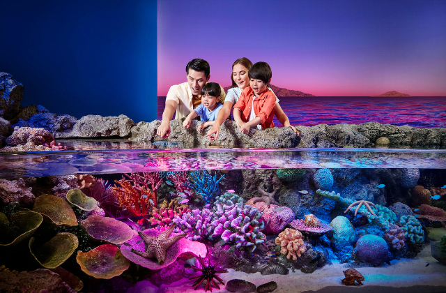 방콕 씨라이프 오션월드 입장권