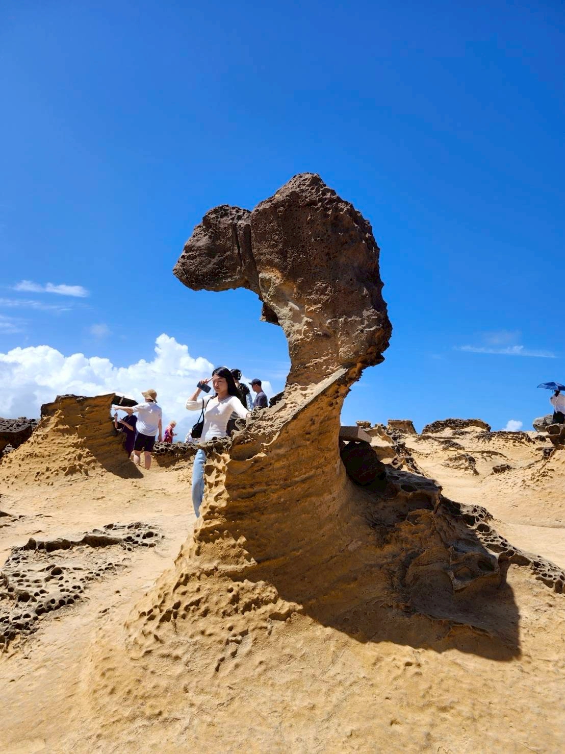 [독점할인] [고고투어] 대만 지우펀 야경 예스지/예스폭지/예스폭진지 버스 투어