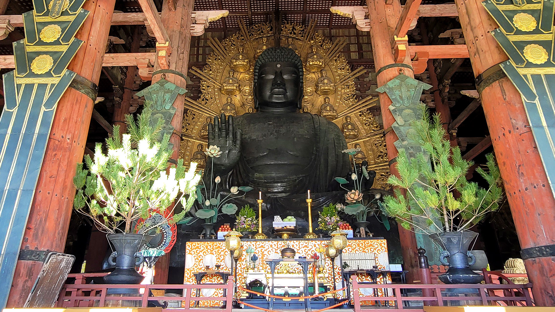 activity_detail_image