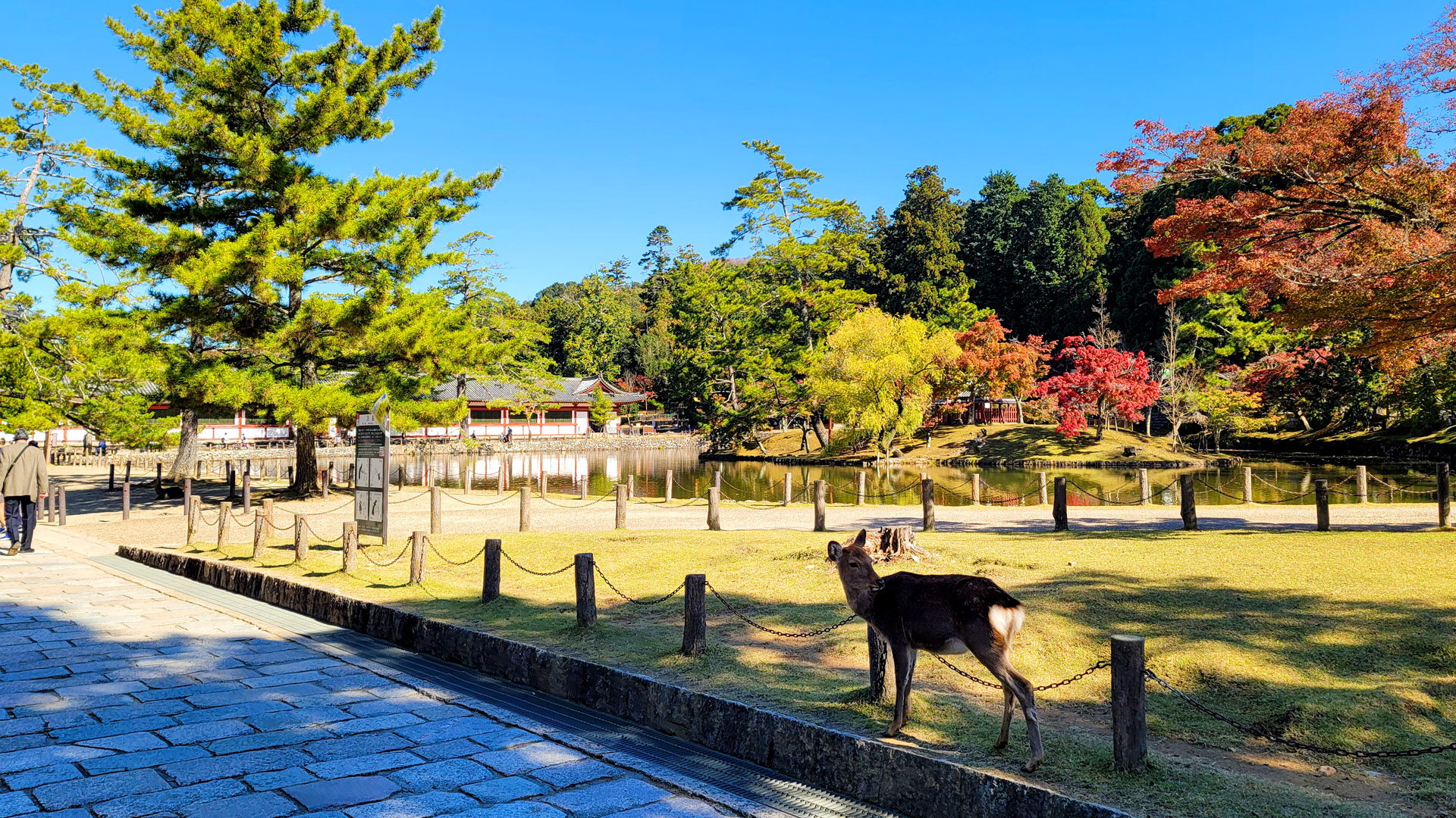 activity_detail_image