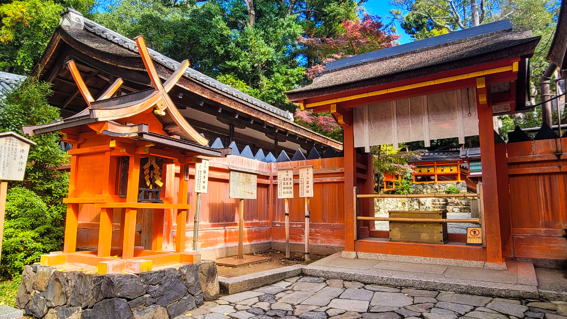 activity_detail_image