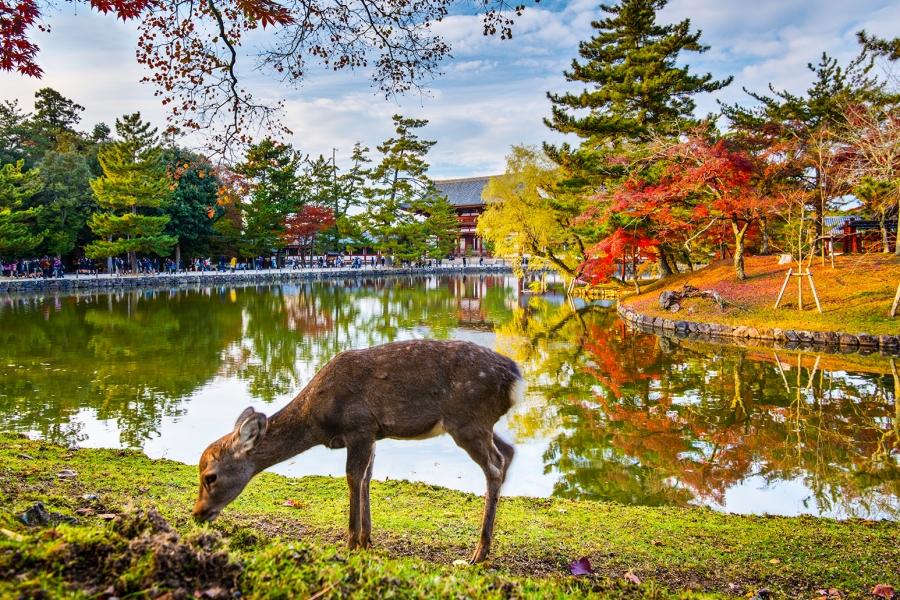 activity_detail_image