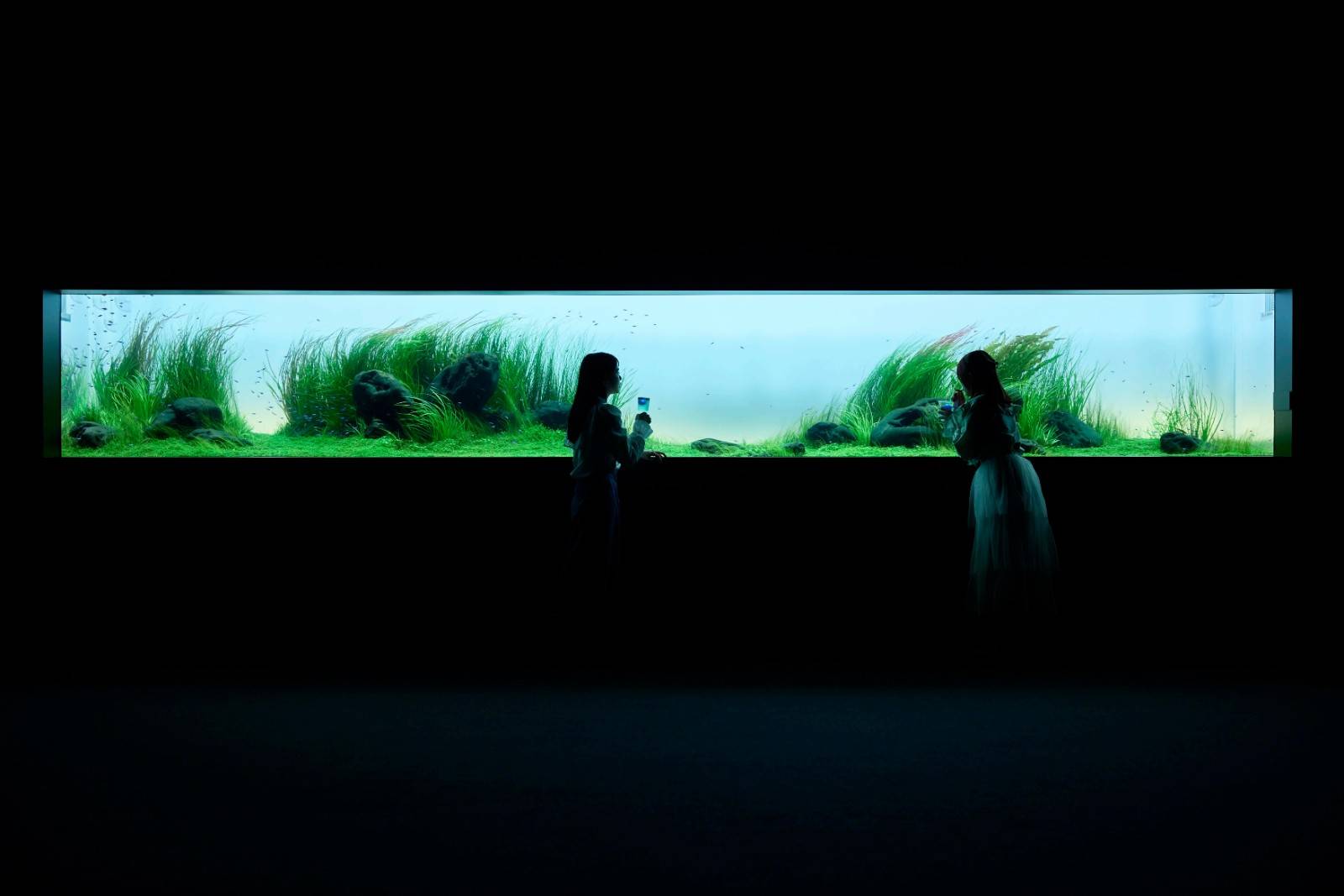 홋카이도 아오아오 삿포로 수족관 입장권