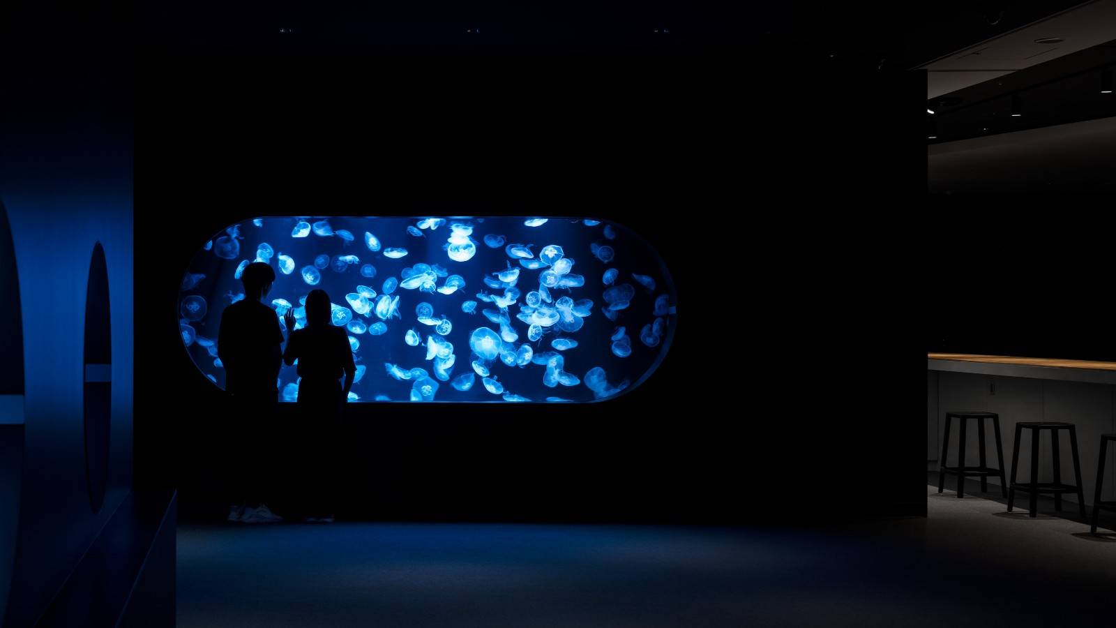 홋카이도 아오아오 삿포로 수족관 입장권