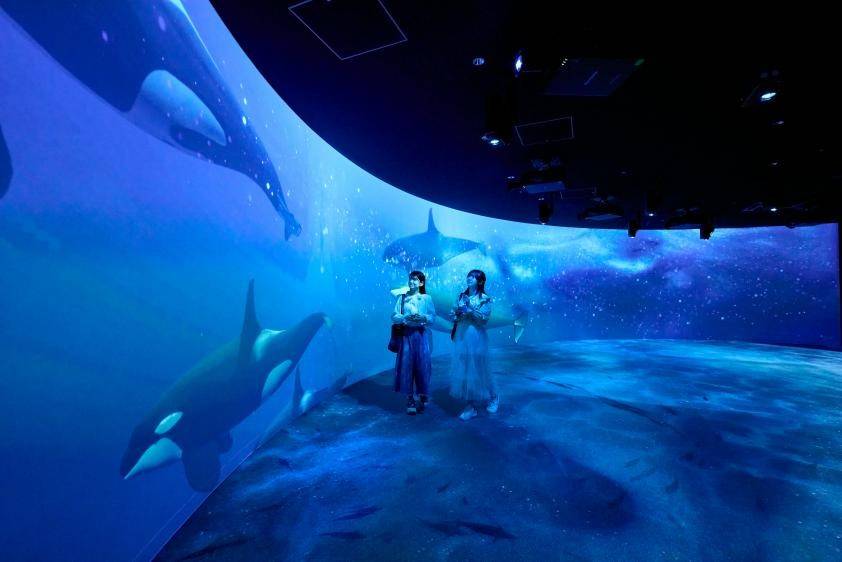 홋카이도 아오아오 삿포로 수족관 입장권