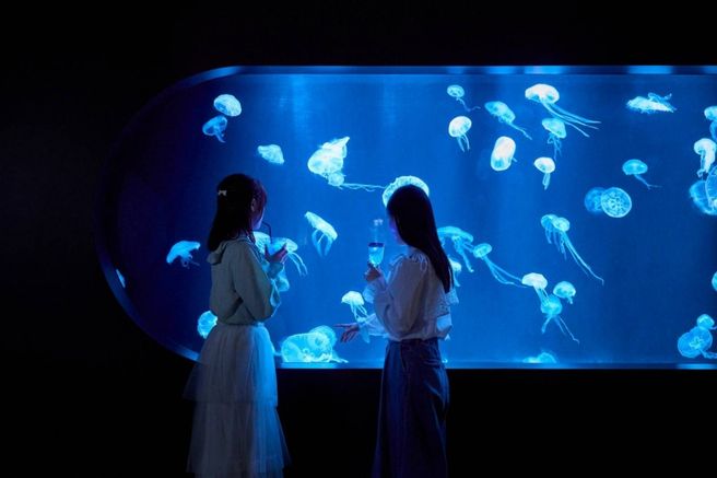 AOAO SAPPORO Aquarium Admission Ticket, Hokkaido