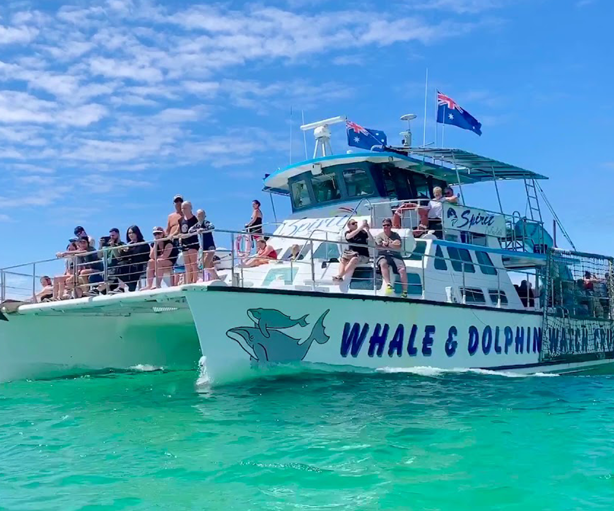 [고호주] 포트스테판 돌핀크루즈 & 모래썰매 & 와이너리 투어