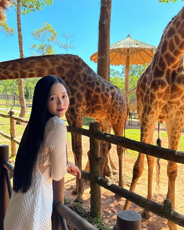 푸꾸옥 북부 사파리 남부 혼똔섬 얼리 모닝 단독 투어 (마사지 & 공항 픽업 & 호텔 샌딩)