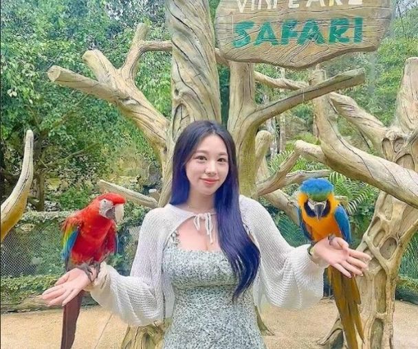 activity_detail_image