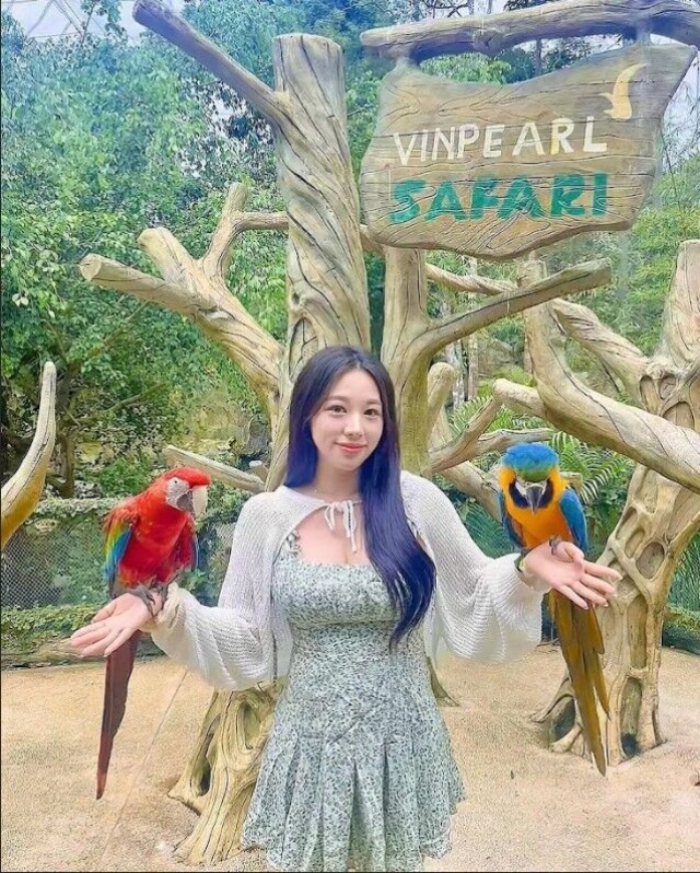 푸꾸옥 북부 사파리 남부 혼똔섬 얼리 모닝 단독 투어 (마사지 & 공항 픽업 & 호텔 샌딩)