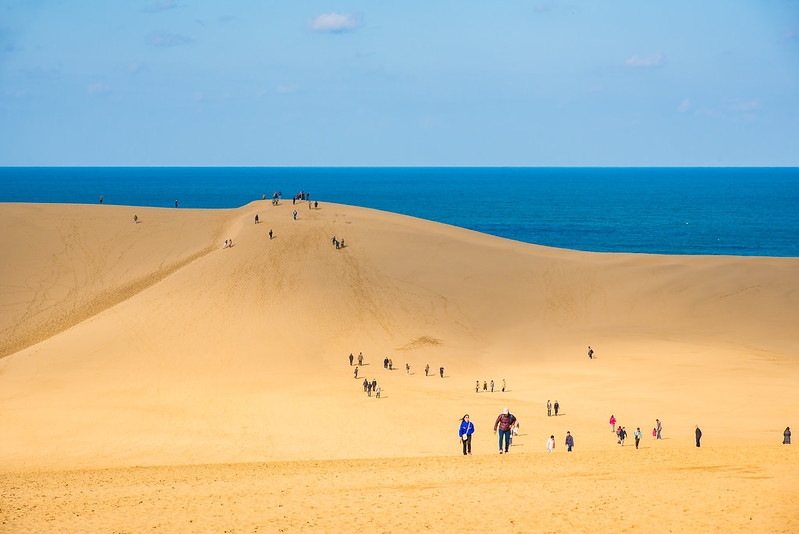 Tottori Sand Dunes Sandboarding Experience