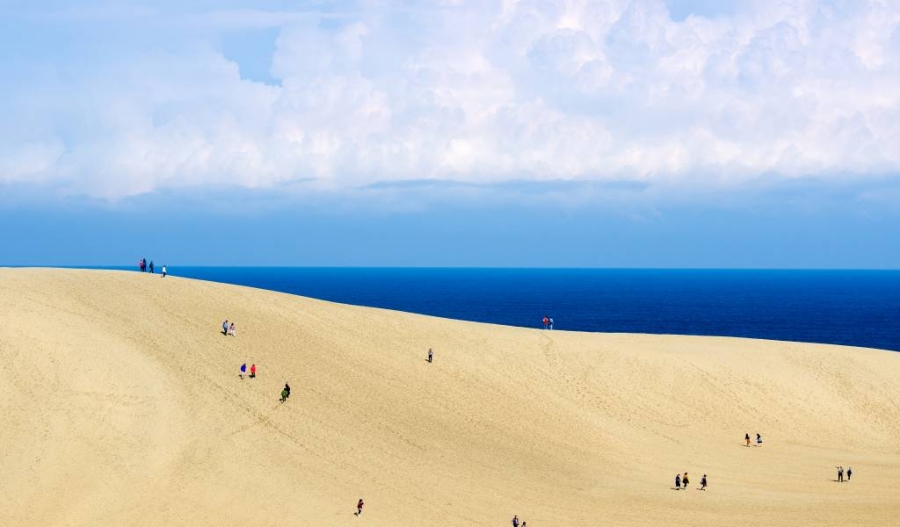 Tottori Sand Dunes Sandboarding Experience
