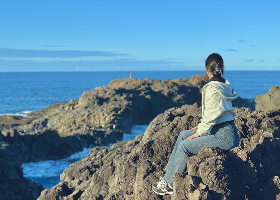 [지그재그투어] [추가 혜택] 시드니 남부해안 투어 - 울릉공 / 키야마 / 제링공