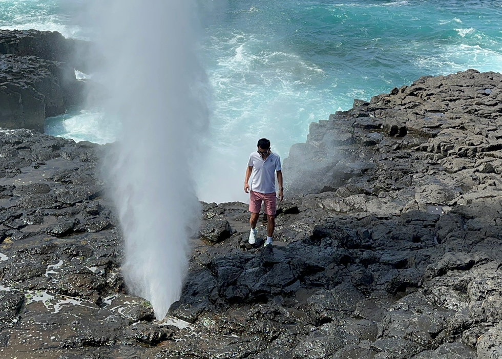 [지그재그투어] [추가 혜택] 시드니 남부해안 투어 - 울릉공 / 키야마 / 제링공