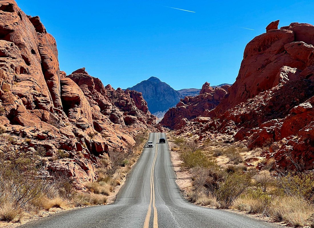 라스베가스 출발: 밸리 오브 파이어, 세븐 매직 마운틴, 라스베가스 사인 투어 (WAUG Exclusive)