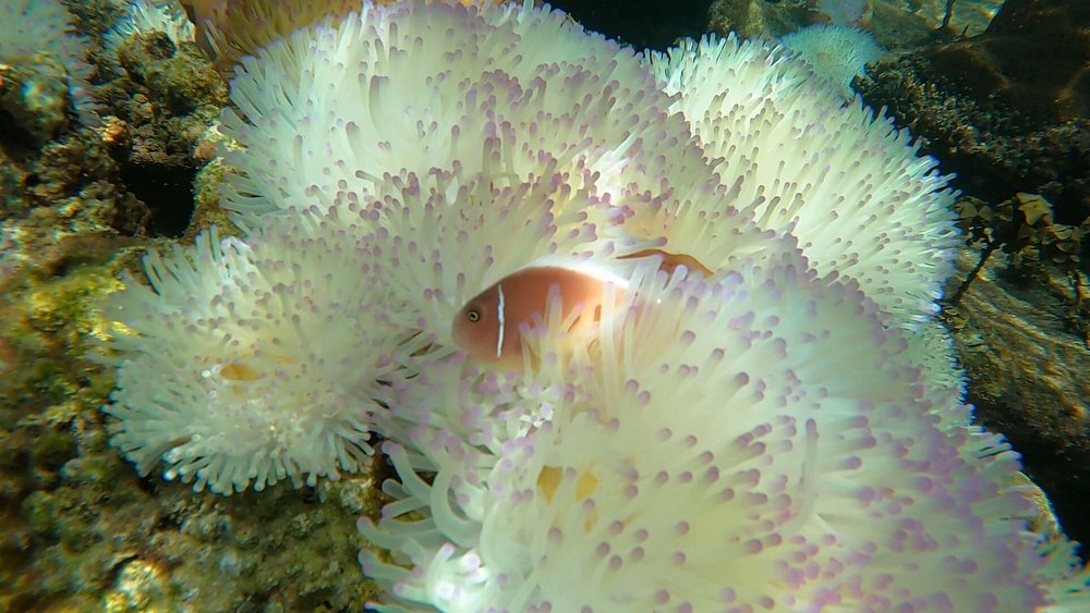 activity_detail_image