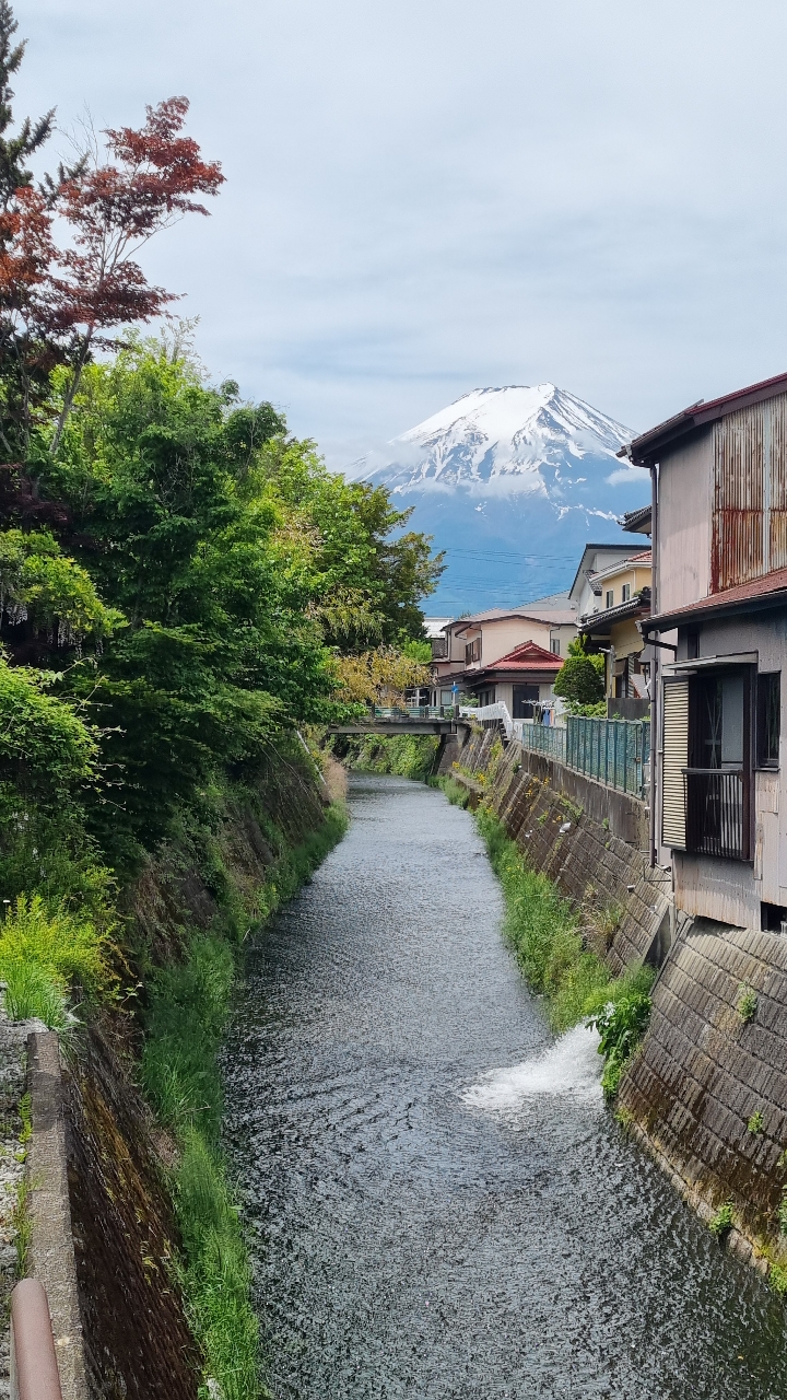 도쿄 출발: 후지산 포토 스팟 일일 투어 G코스 (아라쿠라야마, 오시노 핫카이, 히카와 시계점, 로손 가와구치코) - WAUG Exclusive