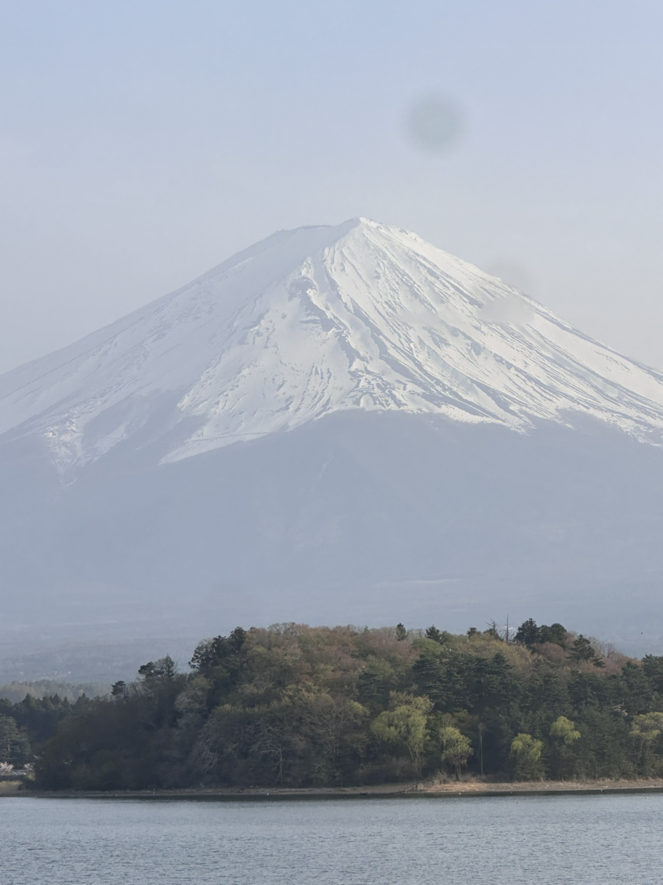 도쿄 출발: 후지산 포토 스팟 일일 투어 G코스 (아라쿠라야마, 오시노 핫카이, 히카와 시계점, 로손 가와구치코) - WAUG Exclusive