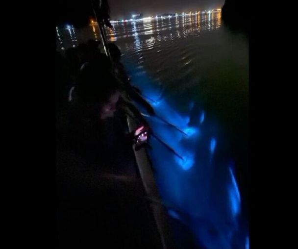 activity_detail_image