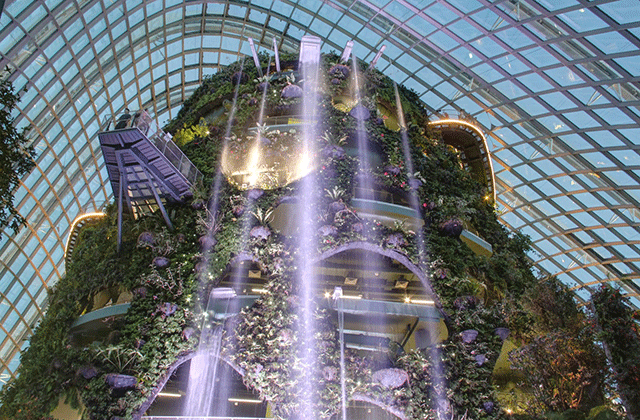 activity_detail_image
