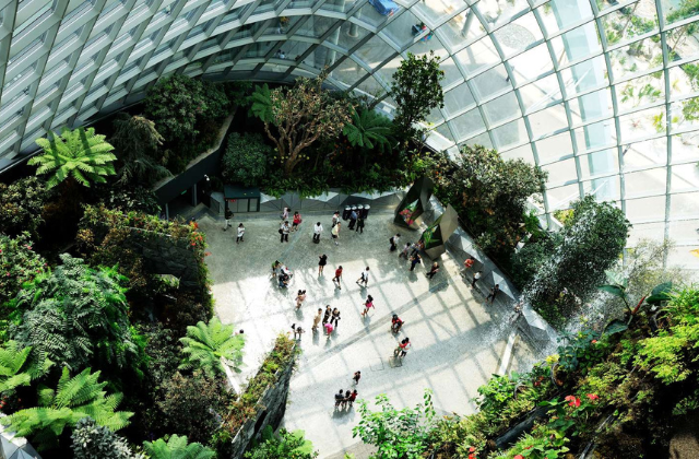 activity_detail_image