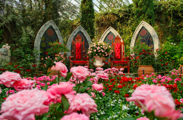 シンガポールガーデンズバイザベイ「インプレッションオブモネ」チケット（日本人特別価格）