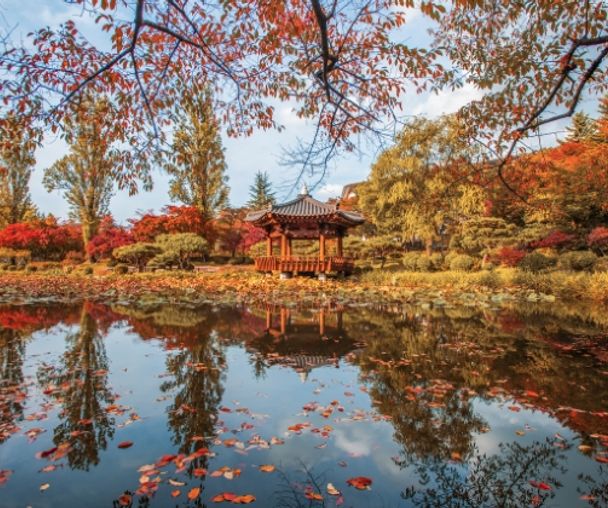 activity_detail_image