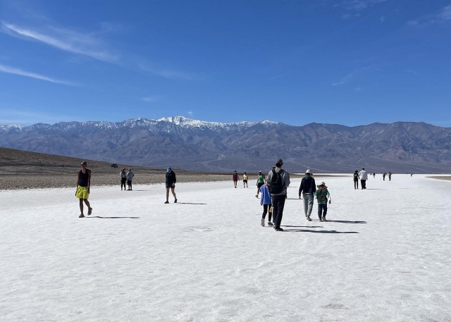 라스베가스 출발: 데스밸리 & 세븐 매직 마운틴, 라스베가스 웰컴 사인 투어 (WAUG Exclusive)