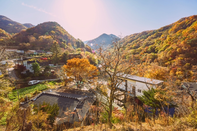 慶南河東智異山紅葉日帰りツアー - 盤ઊ谷、泉雲寺（釜山発）