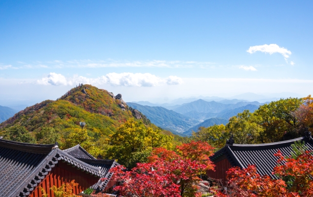 慶南河東智異山紅葉日帰りツアー - 盤ઊ谷、泉雲寺（釜山発）