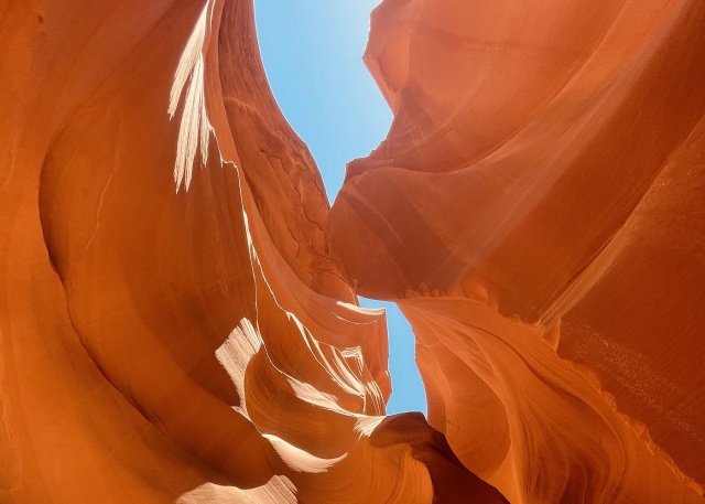activity_detail_image
