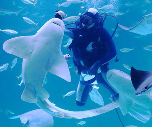 activity_detail_image