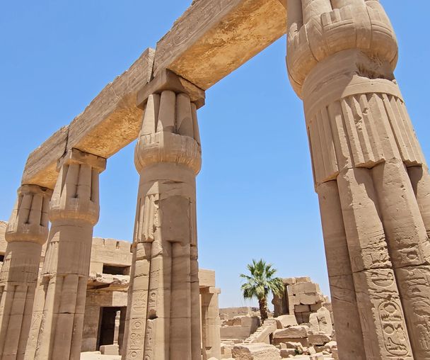 activity_detail_image