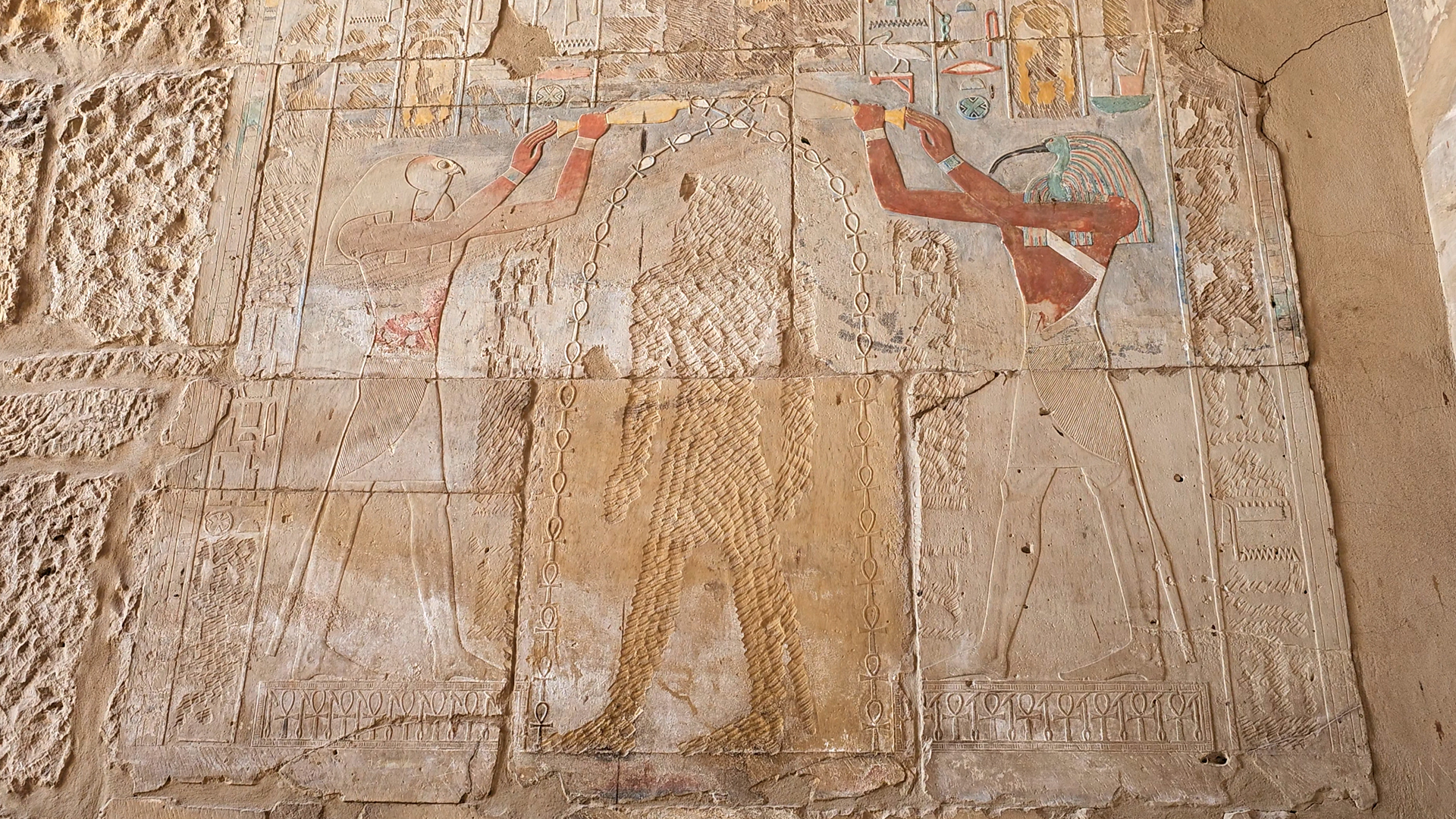 activity_detail_image