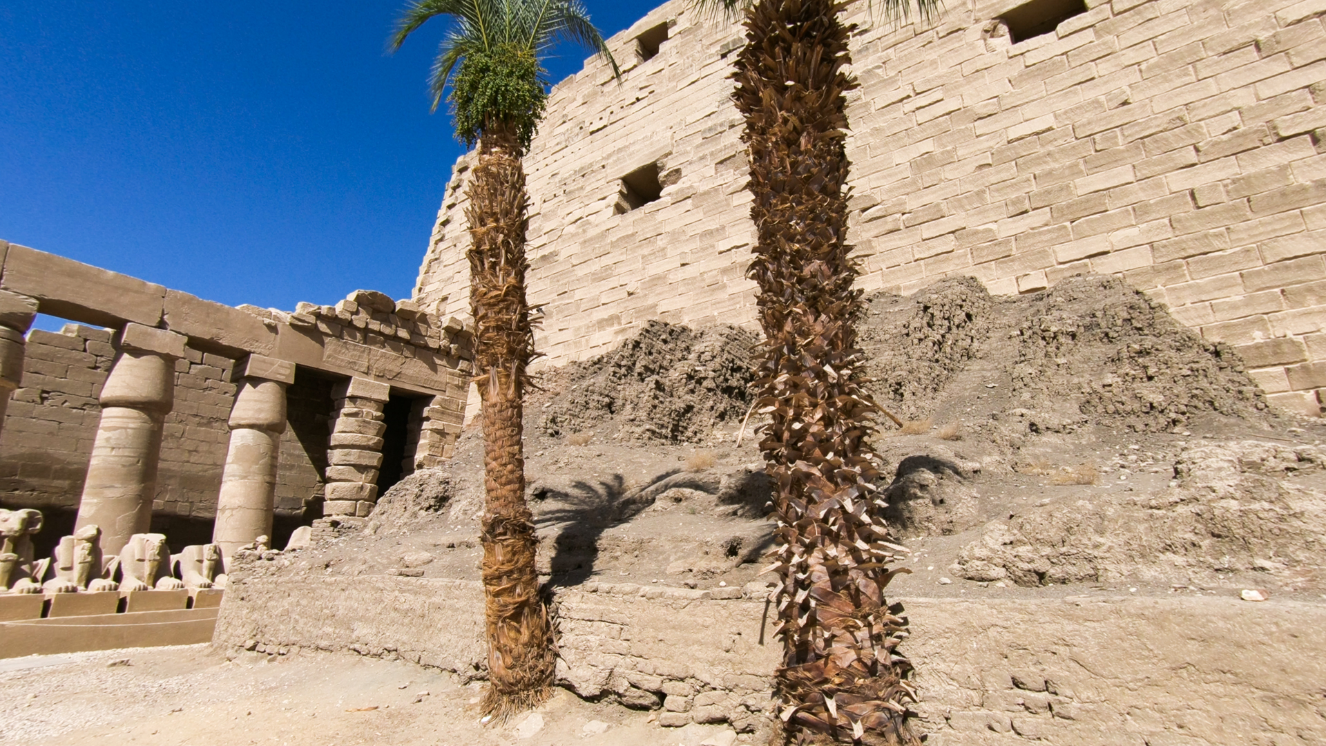 activity_detail_image