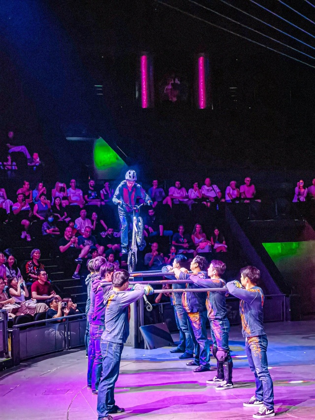 상하이 마시청 서커스 티켓 (한국어 현장 안내)