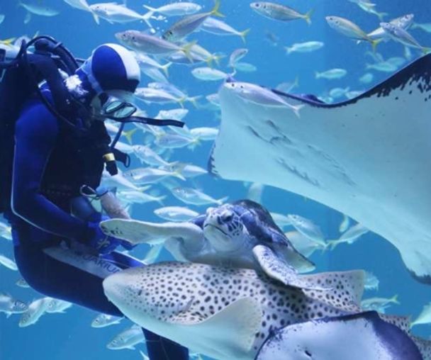 activity_detail_image