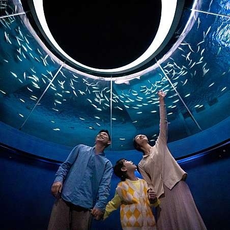 [특가] 대구 신세계 아쿠아리움 입장권