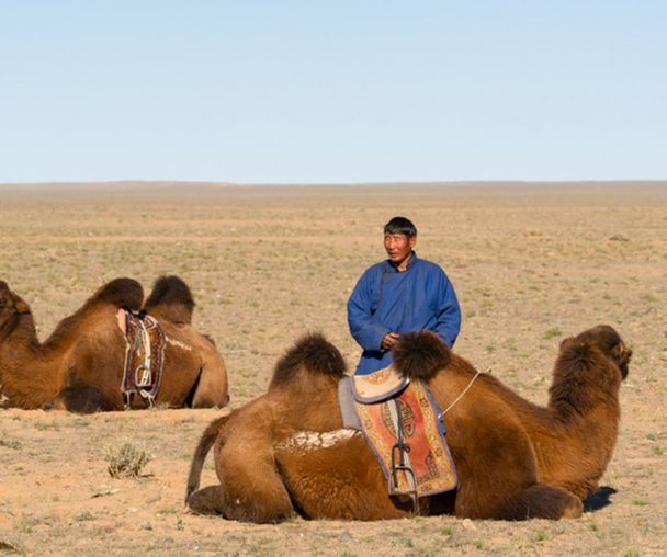 activity_detail_image