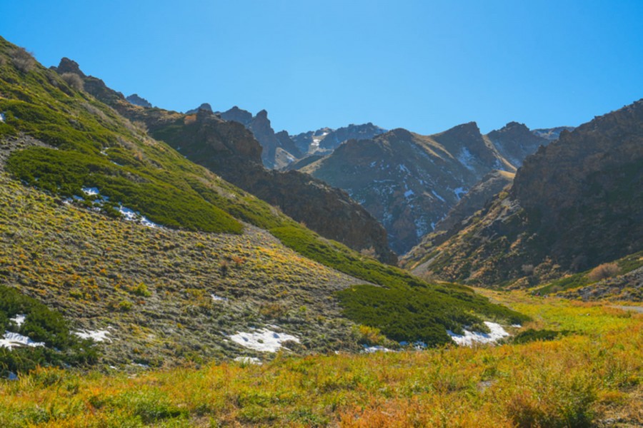 [여나투어] [5박6일] 울란바토르 고비 사막 핵심 투어