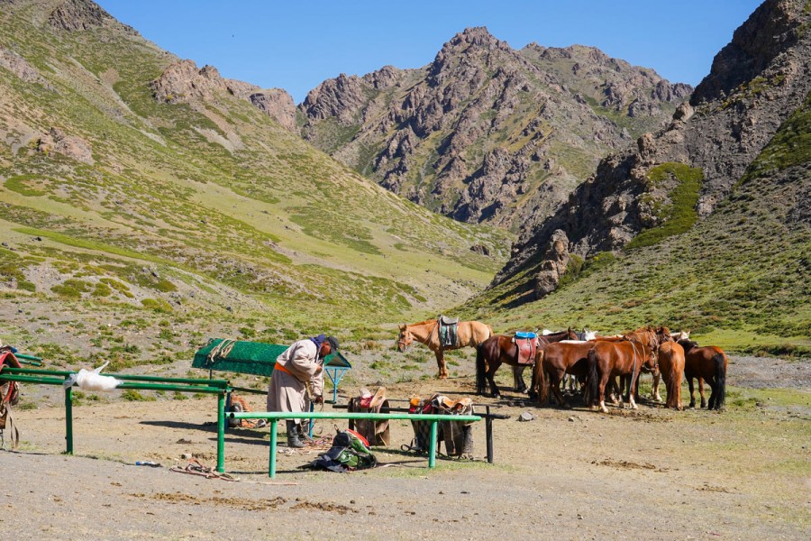 [여나투어] [6박7일] 울란바토르 고비사막에서 테를지까지 사막 투어