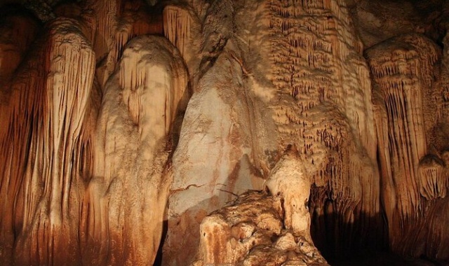 activity_detail_image