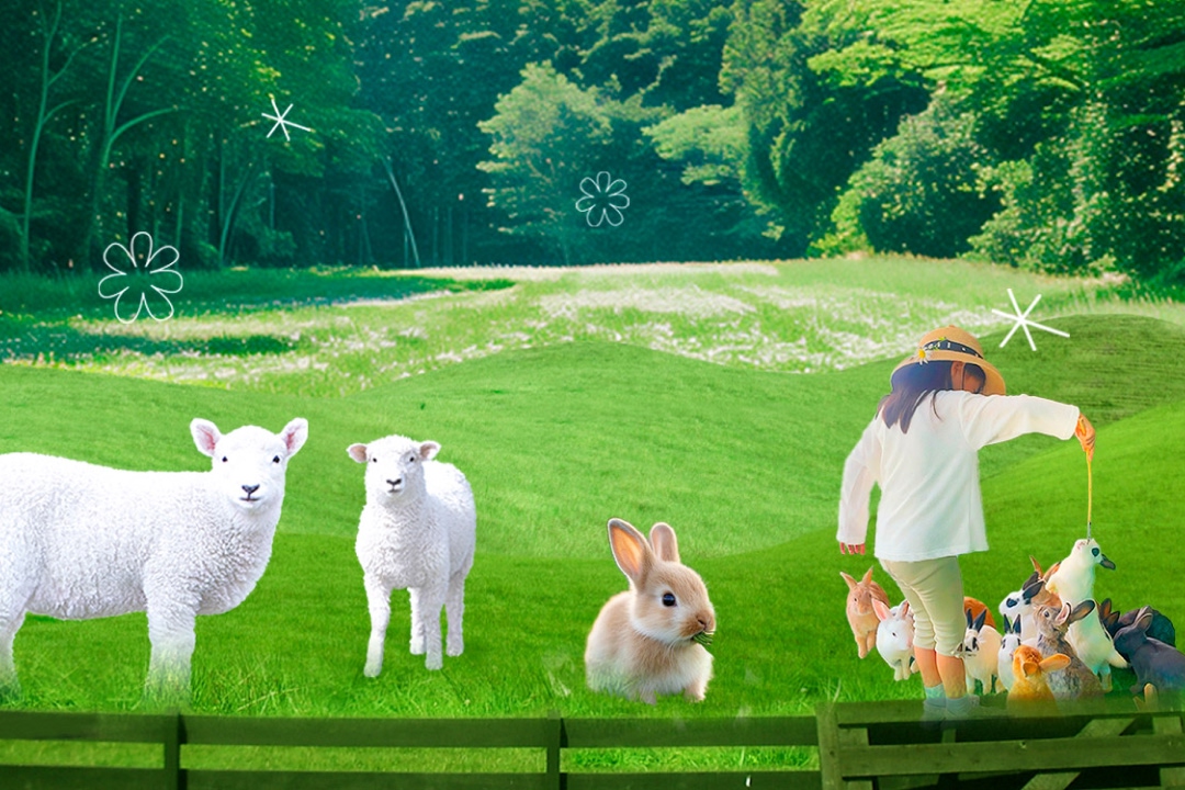 강원 춘천 '토끼랑양이랑' 입장권