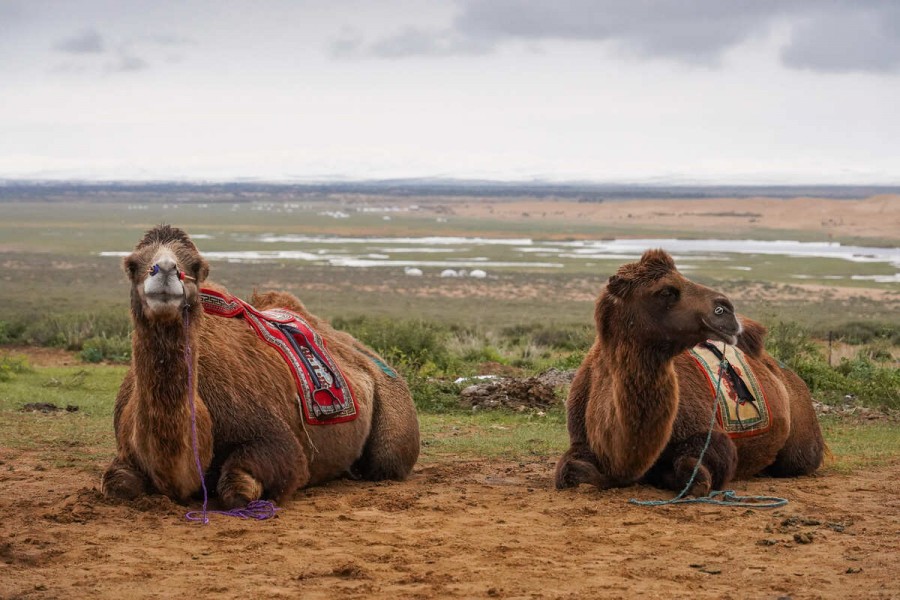 [여나투어] [4박5일] 중앙 몽골 사원 + 폭포 투어