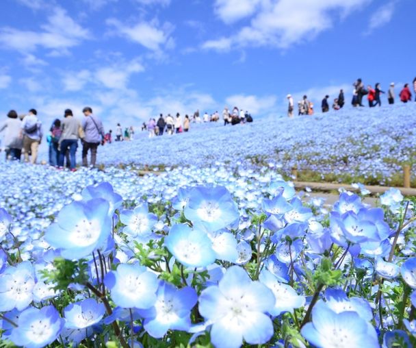 activity_detail_image