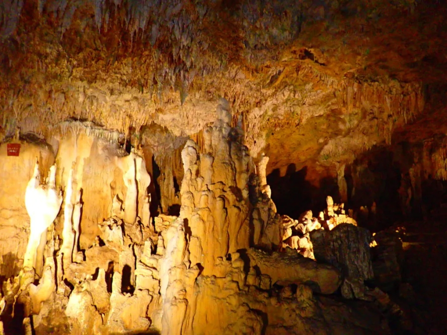 activity_detail_image