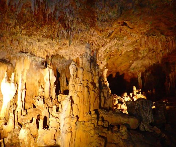 activity_detail_image