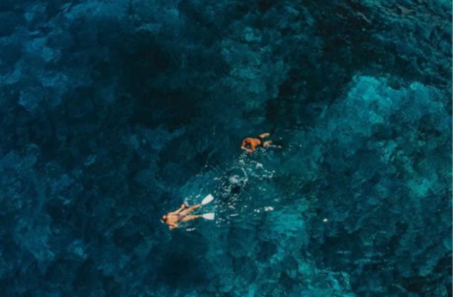 activity_detail_image